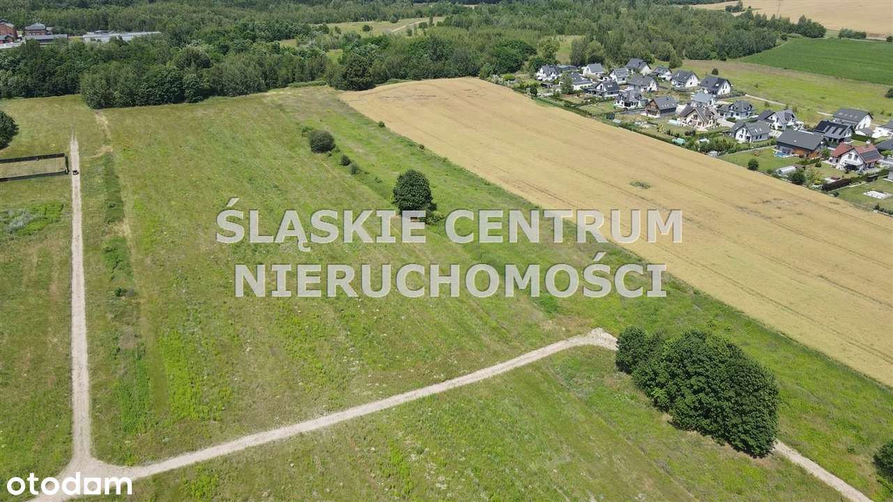Zabrze Nowe Osiedle! Działki budowlane Kasprowicz - Pełny obrazek: 5/7