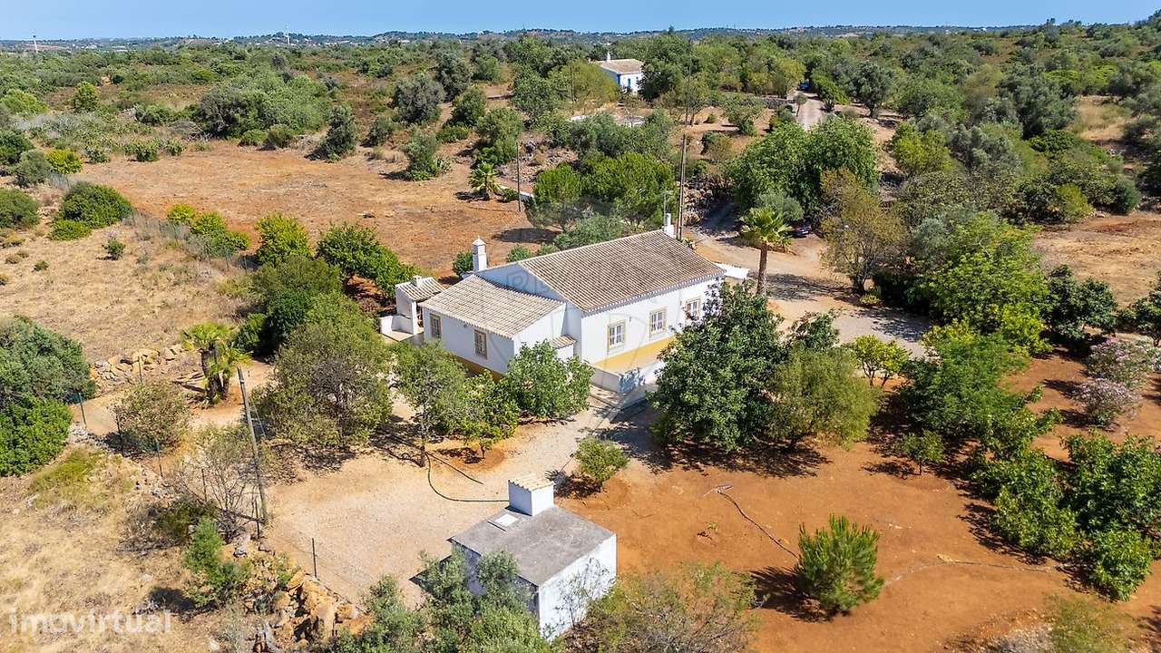 Quinta T5 para venda - Grande imagem: 3/46