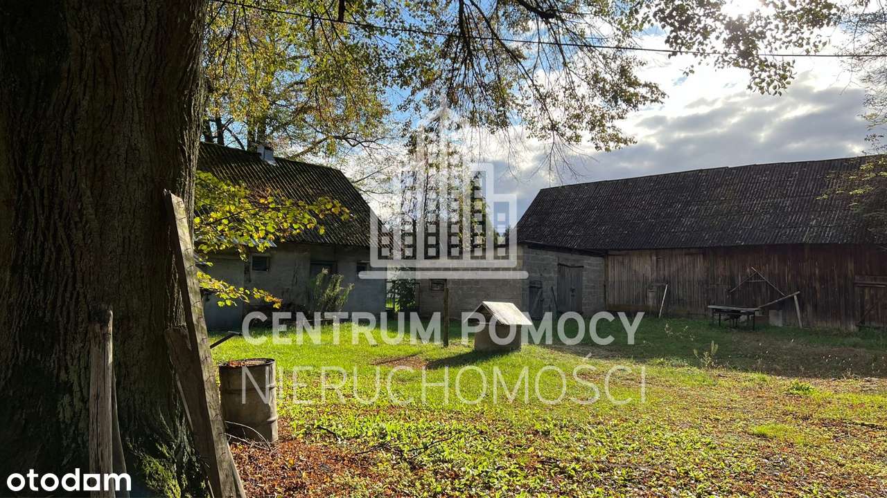 Siedlisko w Badowie Górnym – idealne pod agroturystykę - Pełny obrazek: 5/8