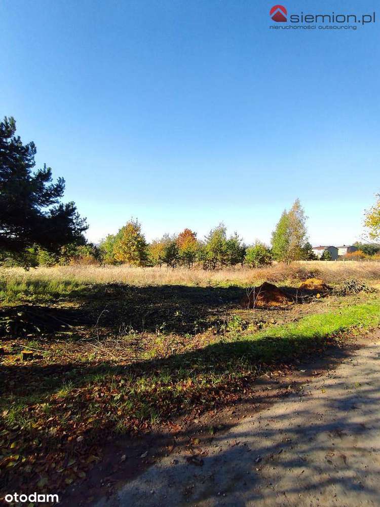 Atrakcyjna działka budowlana Rogoźnik - Pełny obrazek: 3/14