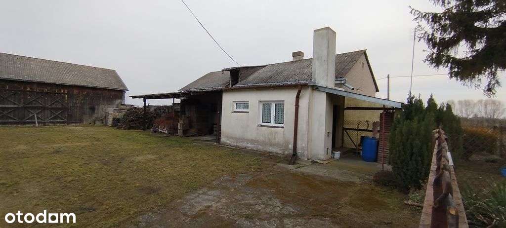 Nieruchomość gruntowa z zabudową siedliskową - Pełny obrazek: 4/11