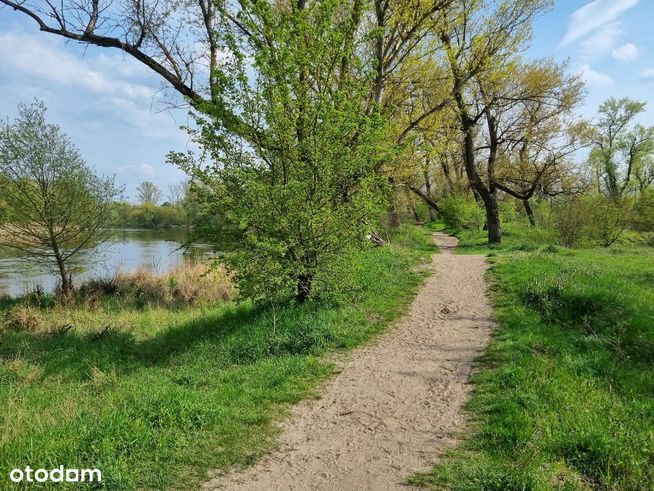 Lokalizacja - dla aktywnych osób / nad rzeką (las)