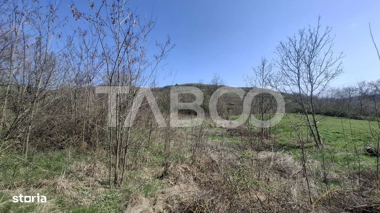 Teren intravilan de vanzare 1450 mp Slimnic Sibiu - Imagine principală: 3/3