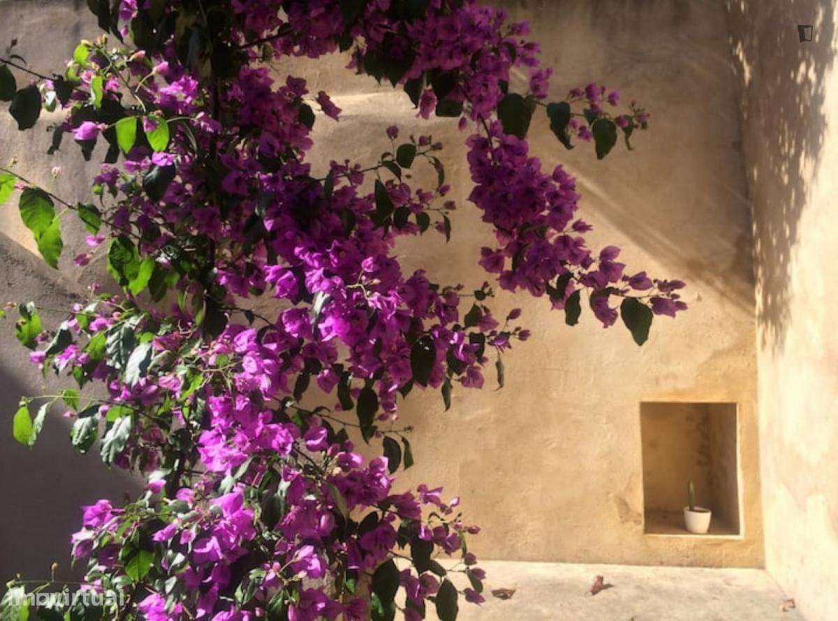 Apartamento com 2 quartos - localizado em Baixa Coimbra - Grande imagem: 3/10