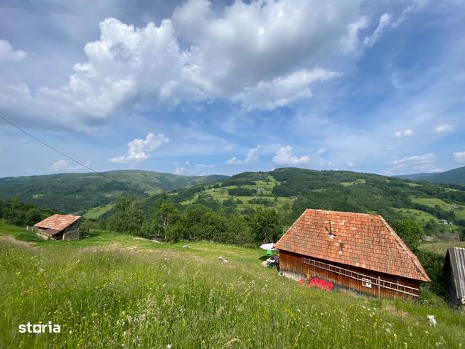 Comision 0 % Teren de vanzare 3.6 Hectare, Rachitele - Cluj-Napoca