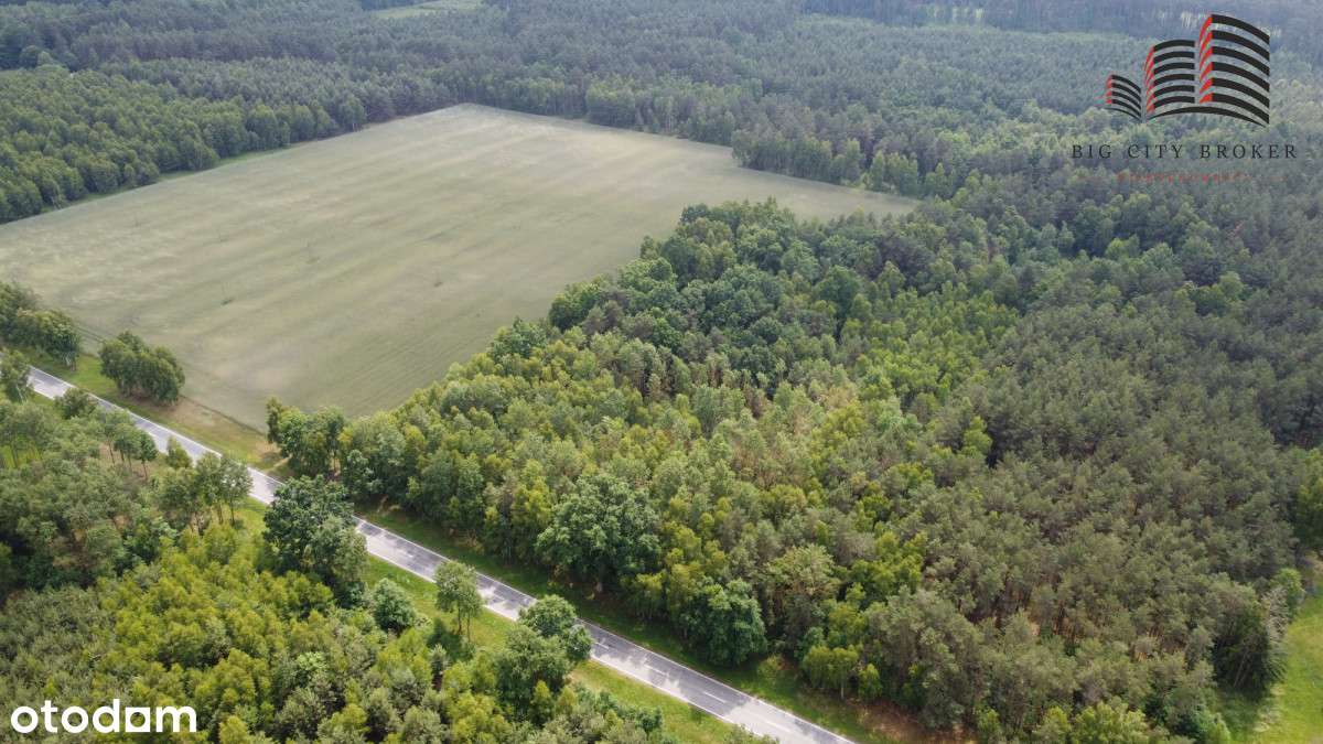 Piękna działka leśna z możliwością zabudowy - Pełny obrazek: 5/10