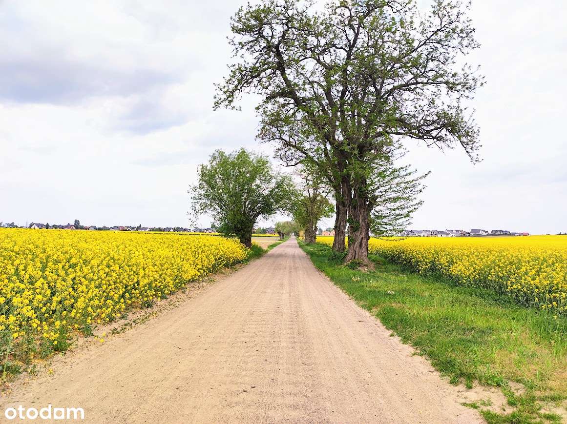 Komorniki gmina, Chomęcice, działka w cichym i spokojnym miejscu-6