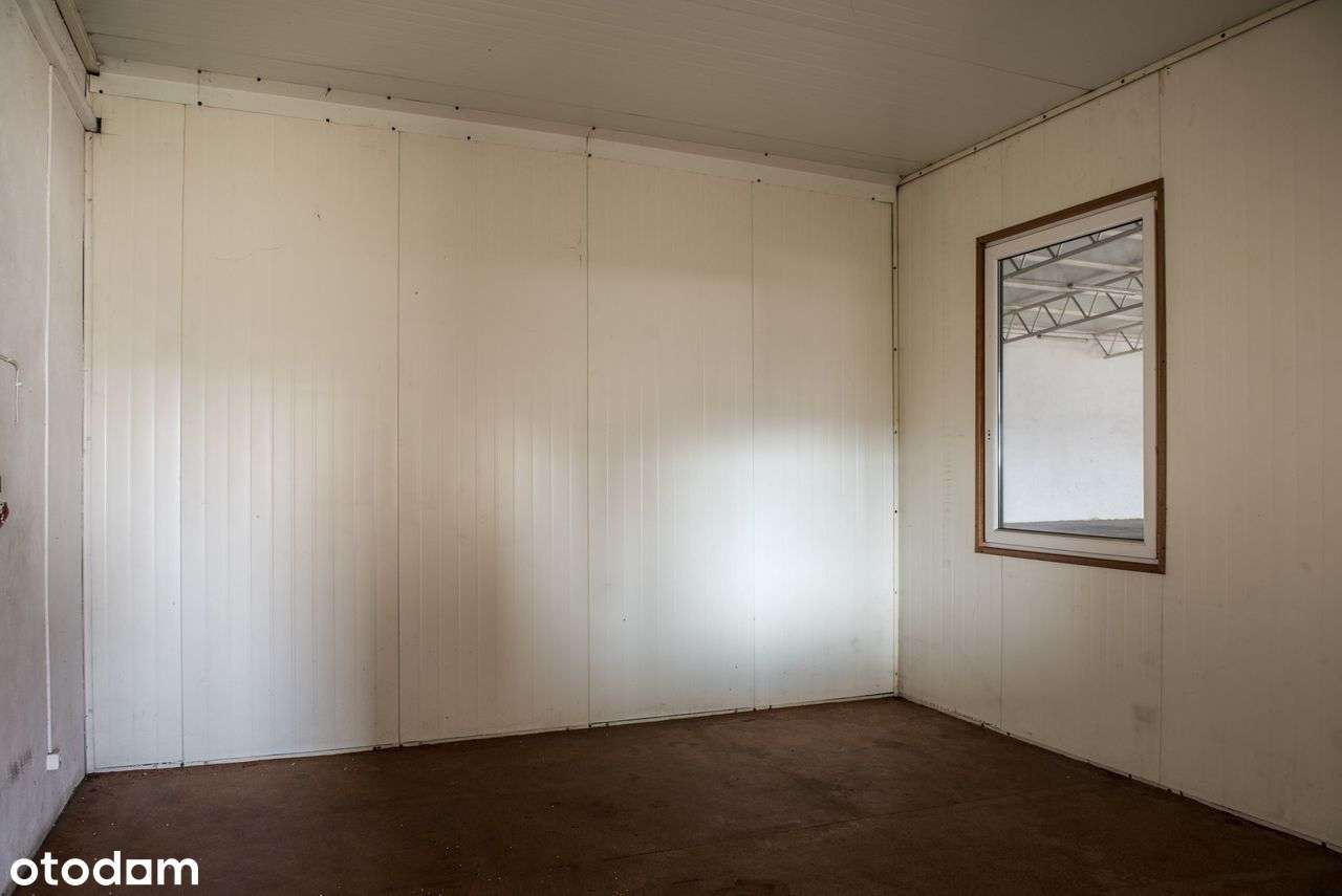 Hala magazynowa na wynajem Klewków k. Łowicza - Pełny obrazek: 4/7