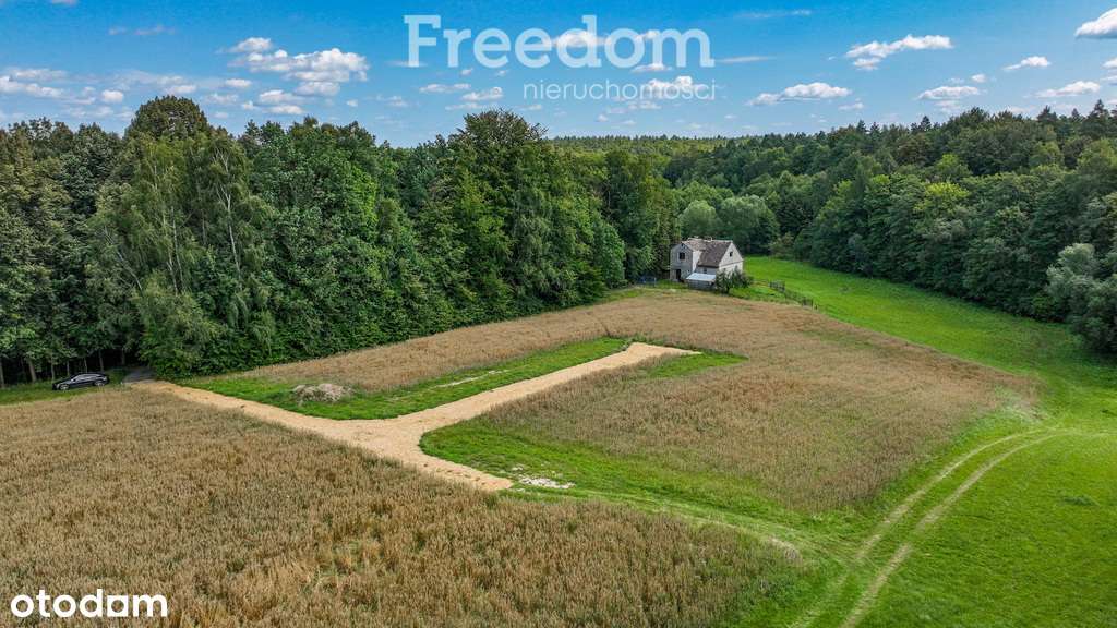Działki budowlane przy lesie - Pełny obrazek: 5/15