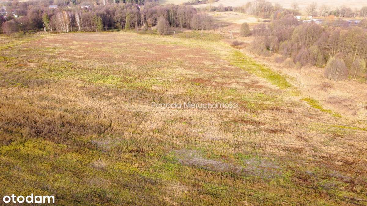 Działki na sprzedaż - Trzebule-13