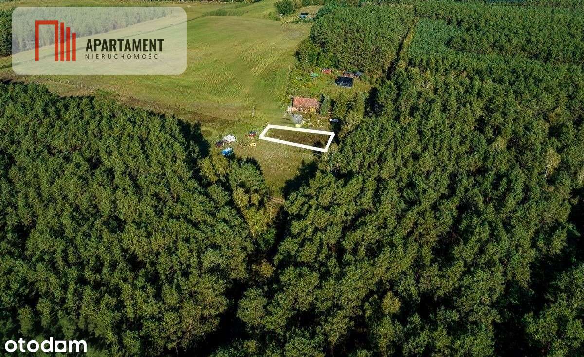 Wyjątkowa działka w sercu natury - Zatom Nowy - Pełny obrazek: 3/7