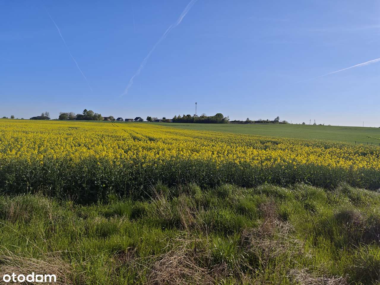 Atrakcyjna działka na sprzedaż w  Żabiej Woli - Pełny obrazek: 2/3
