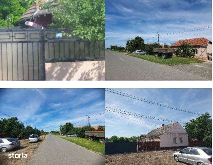 Casa si teren localitatea Cenad, comuna Cenad, jud. Timis-1
