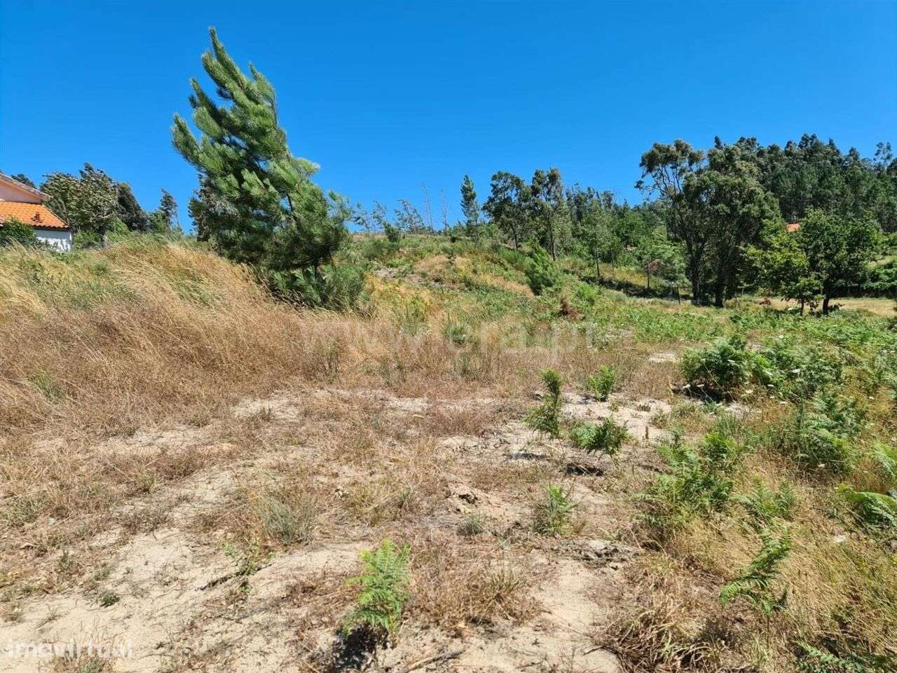 Quintinha / Marco de Canaveses, Penhalonga e Paços de Gaiolo - Grande imagem: 3/9