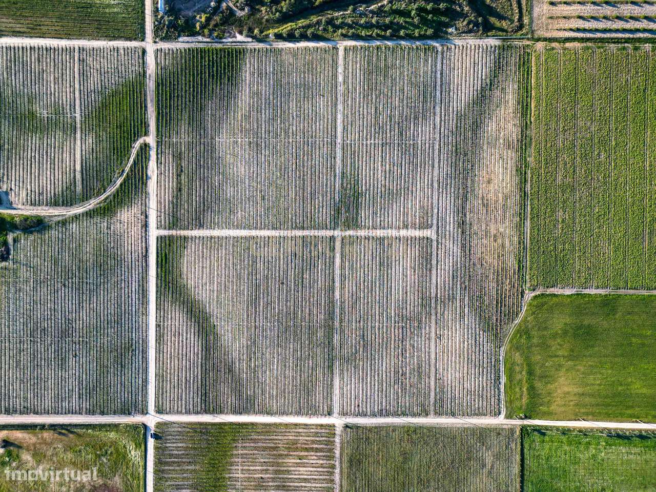 Sto. Isidro de Pegões, Palmela - Prédio Rústico com 60200 m2 com plant - Grande imagem: 3/10