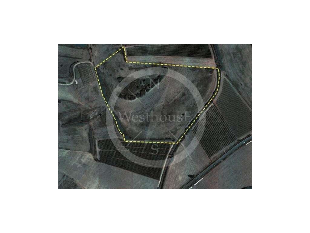 Terreno com 45.360m2 de área a 5 minutos da cidade de Torres Vedras-12