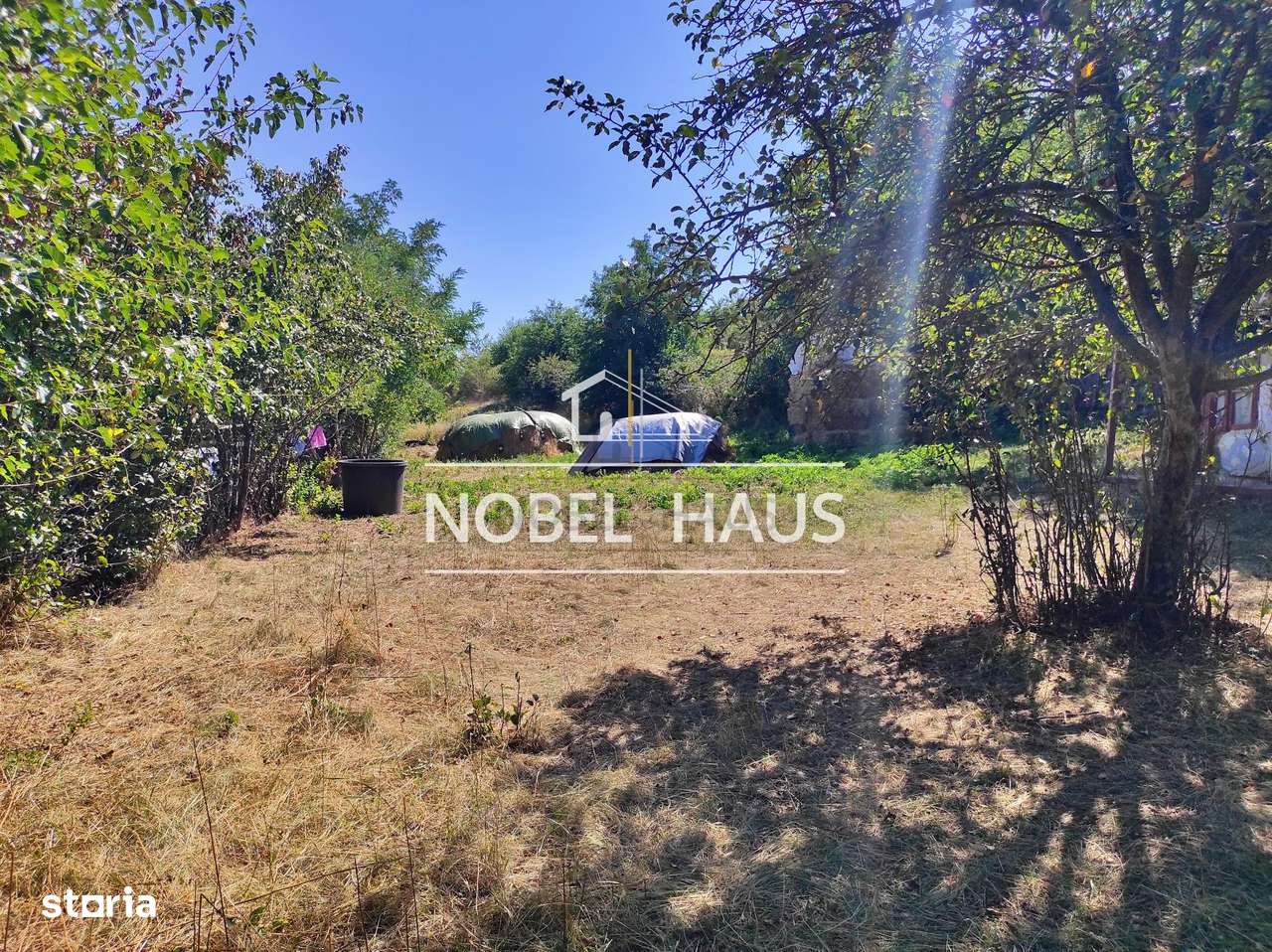 Teren 6200 mp, intravilan, sat Bogesti, comuna Pogana - Imagine principală: 5/7