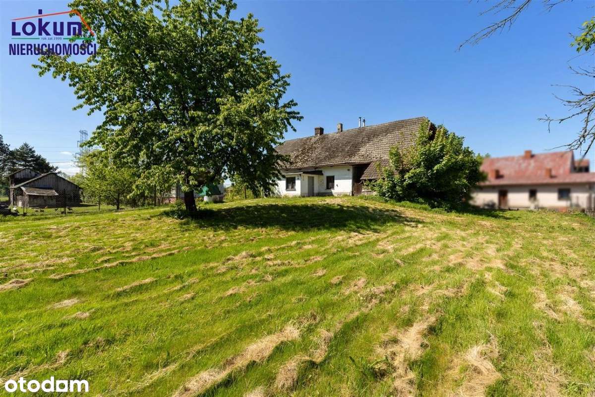 Drogomyśl - dom w centrum na dużej działce - Pełny obrazek: 3/18