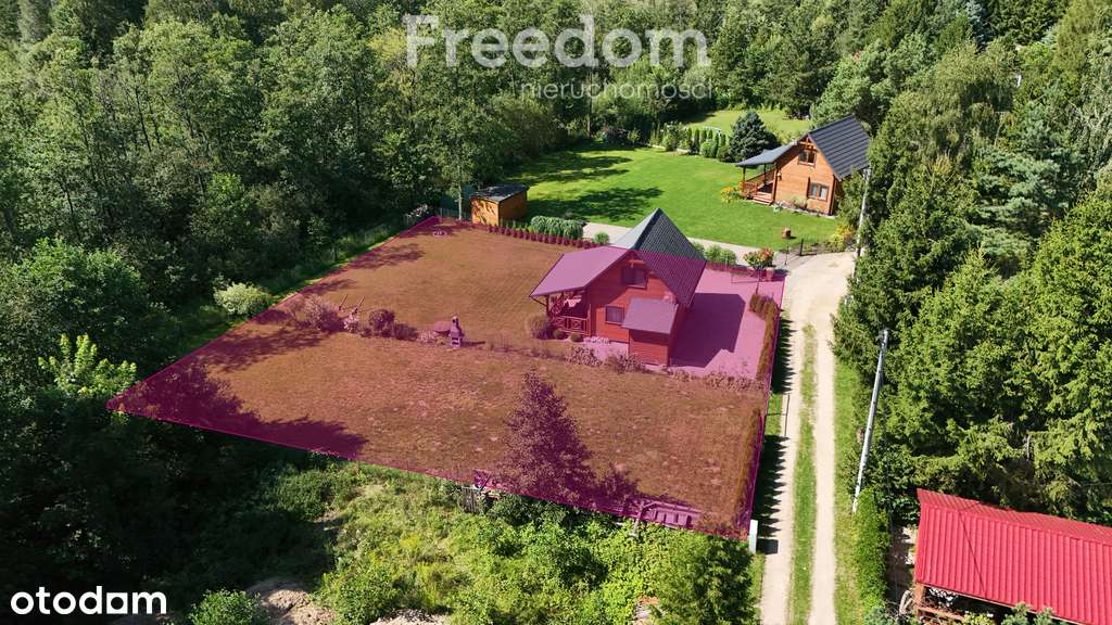 Mazury / działka / domek nad jeziorem / Bogacko - Pełny obrazek: 4/20