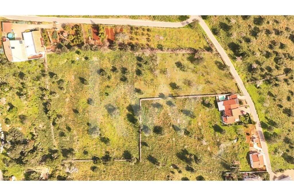 Terreno Agrícola com Viabilidade de Construção - Alcantarilha - Grande imagem: 4/8
