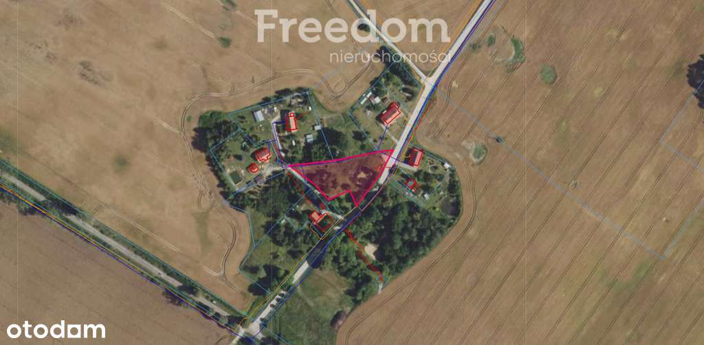 Spokojna działka 3 128 m² wśród lasów - Pełny obrazek: 4/15