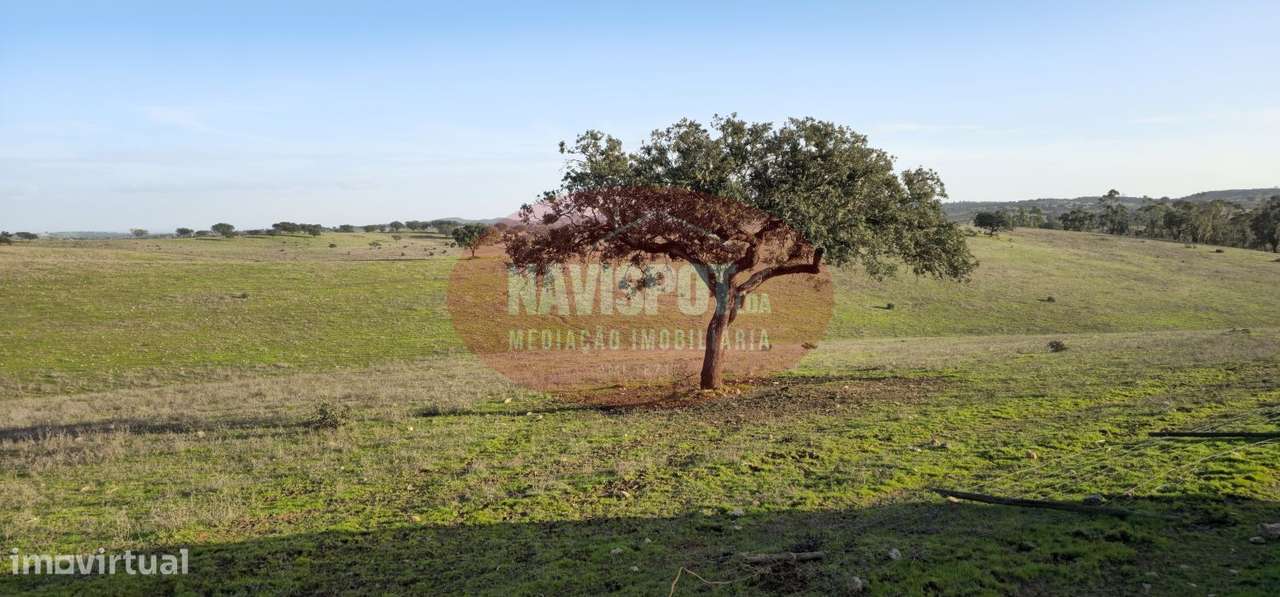 Herdade com 36 ha em Santo António do Baldio-4