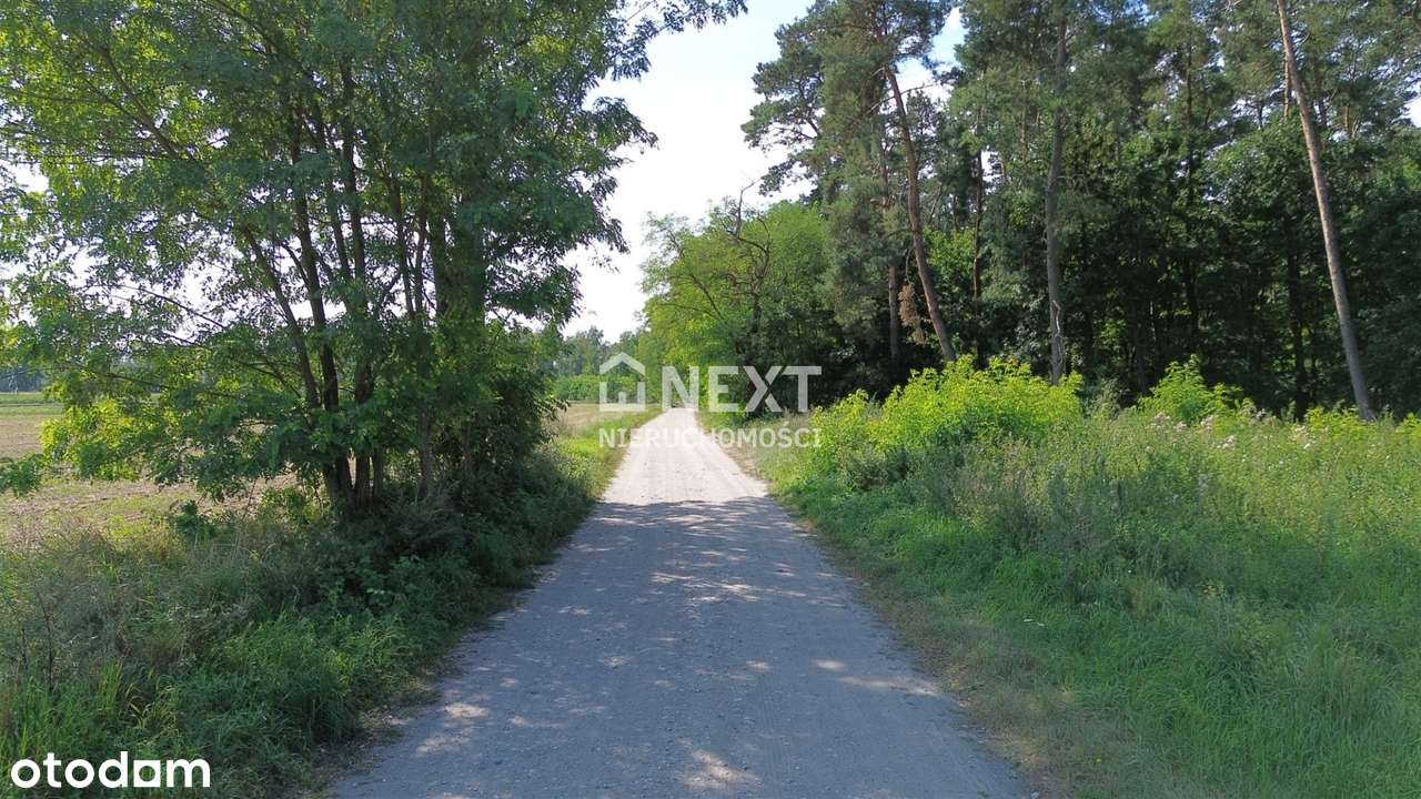 Nowy Podział Działek przy Lesie! Cisza!-5