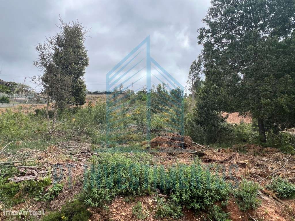 Lote para construção em Águeda - Grande imagem: 3/4