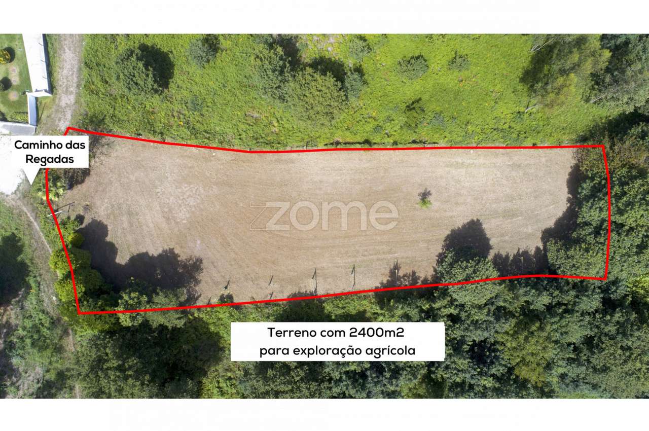 Terreno com 2.400 m2 para exploração agrícola - Pedroso, Gaia - Grande imagem: 4/15