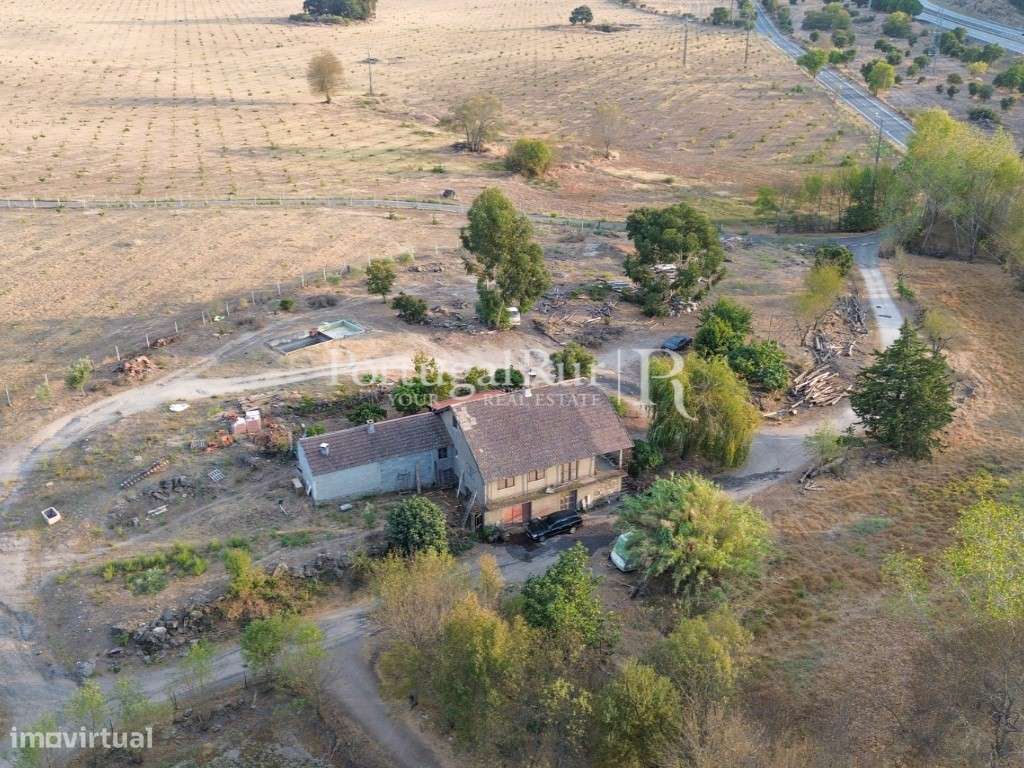 Quinta com 15 hectares em Castelo Branco - Grande imagem: 5/35