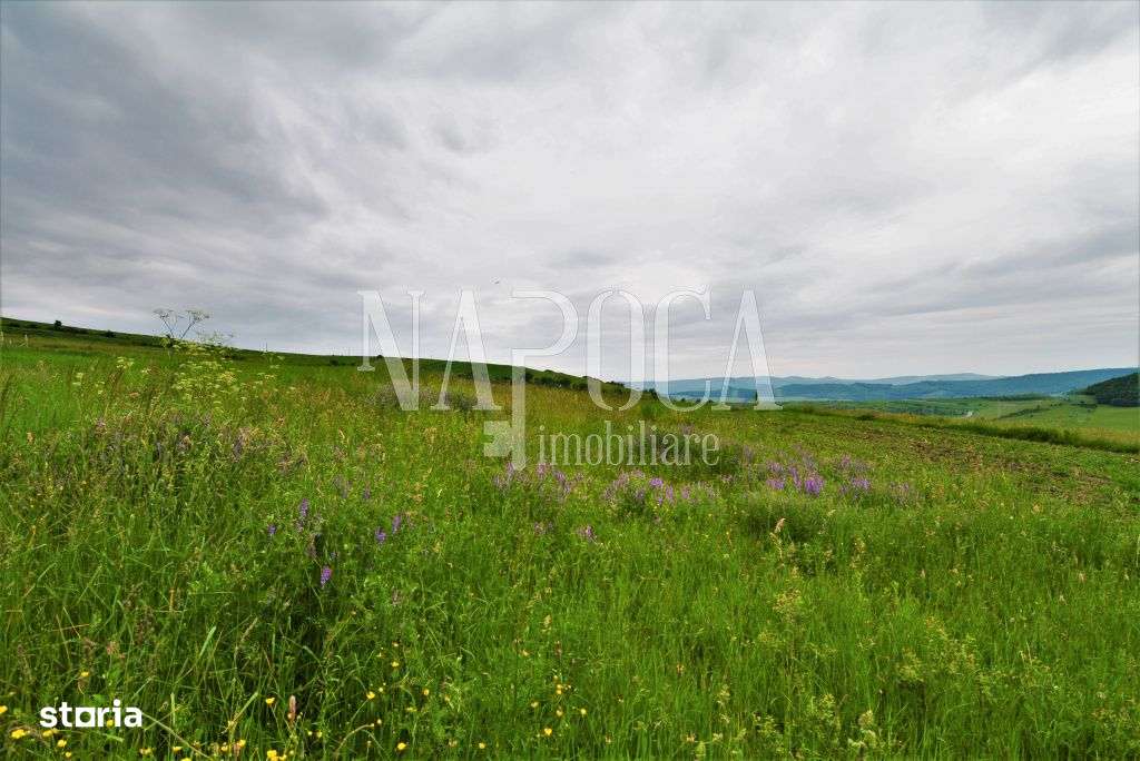 Teren extravilan pentru constructii de vanzare in Popesti - Imagine principală: 5/5