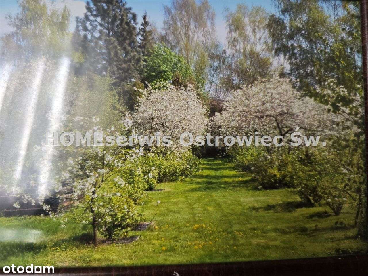 Dom 115 m2 działka 4900 m2, domek gościnny, garaż-1