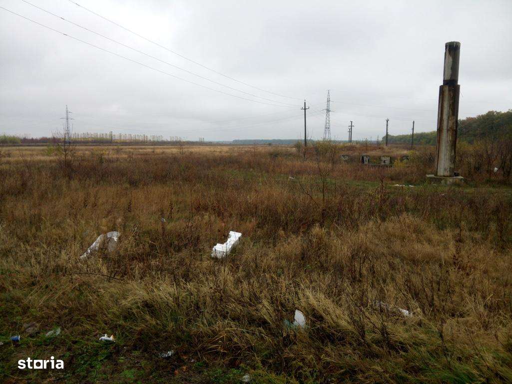 Vand Teren pt. PARC FOTOVOLTAIC, BENZINARIE, HALE - DN5 Buc.-Gr. Km.45-12