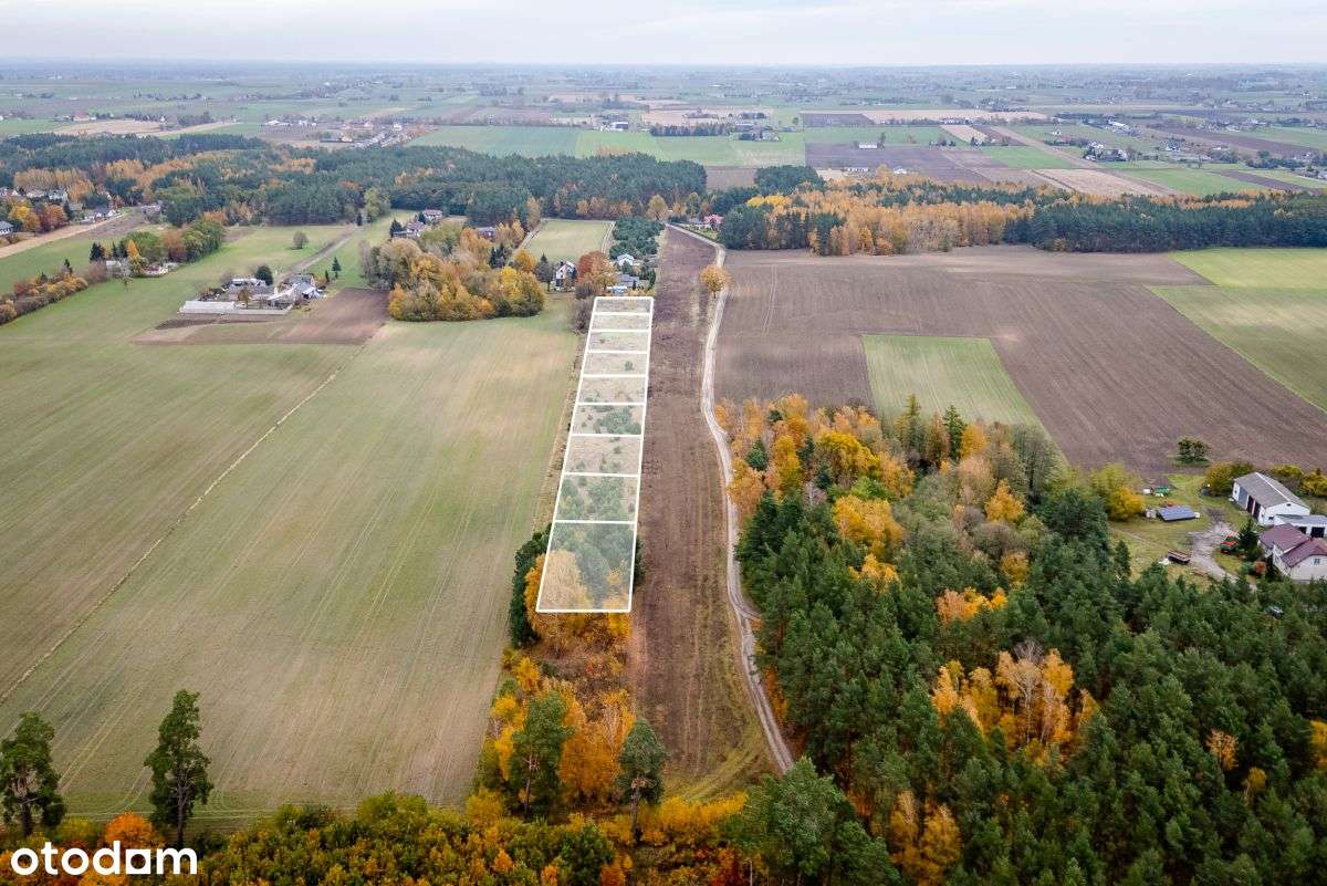 Działka budowlana bezpośrednio przy lesie - Pełny obrazek: 5/9