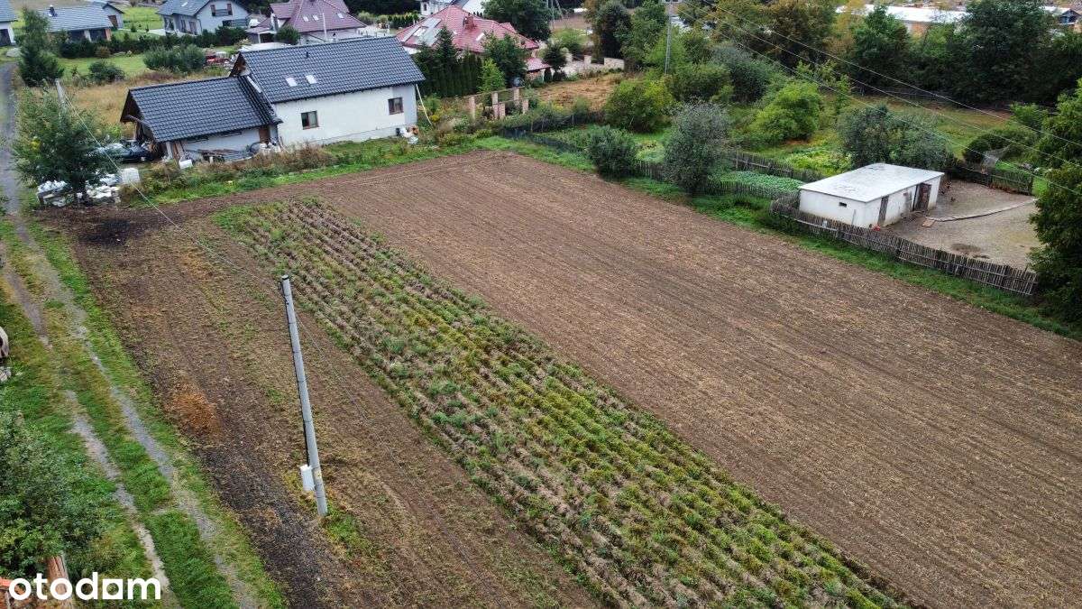 Działka budowlana 12 ar Brennik k/Złotoryi - Pełny obrazek: 4/8