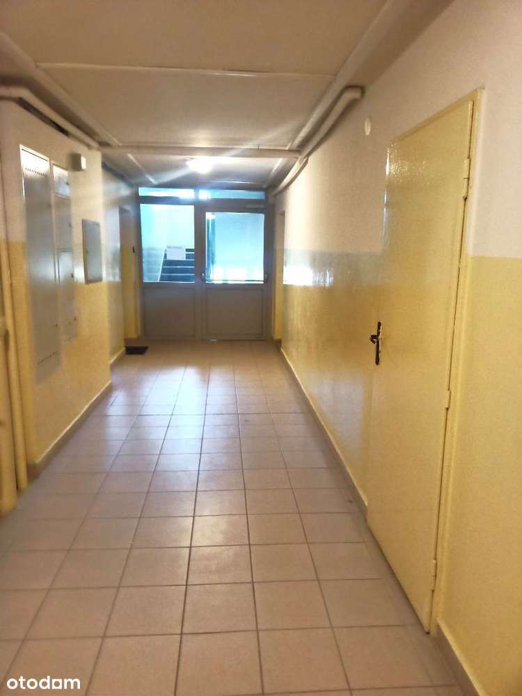 3 pokojowe z potencjałem-12