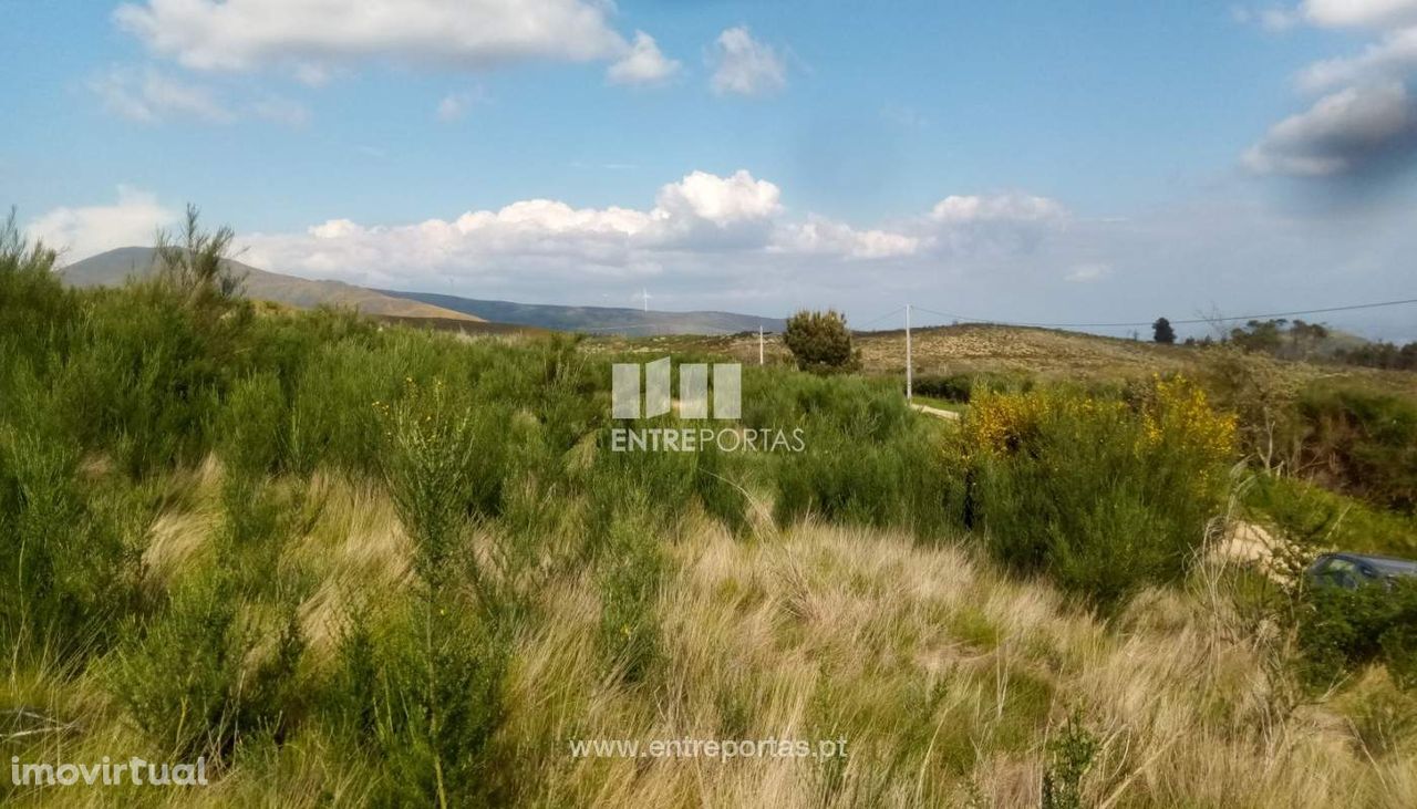 Venda Terreno com 6400m2, Gestaçô, Baião