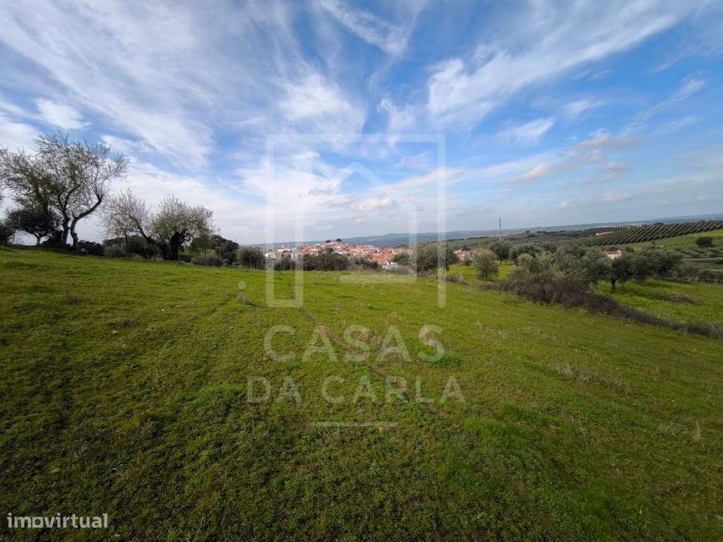 Terreno com 6000m2 em Vila Ruiva - Grande imagem: 2/12