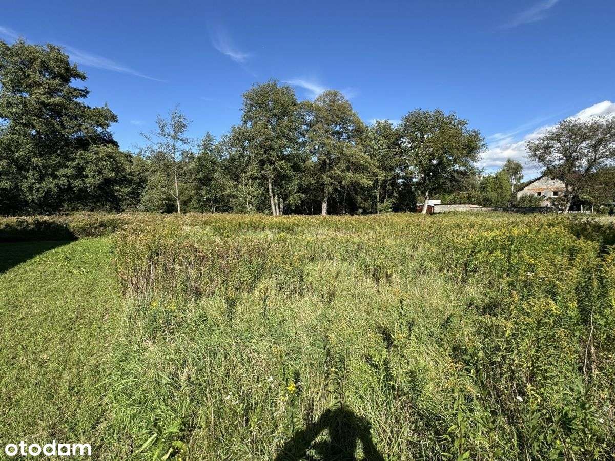 działka 8500m2 Długołęka-10