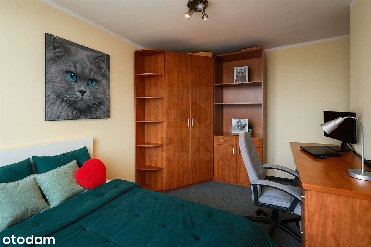 Przytulne 3pokojowe Koszutka ul Grabowa, po termomodernizacji, sprawdz-10