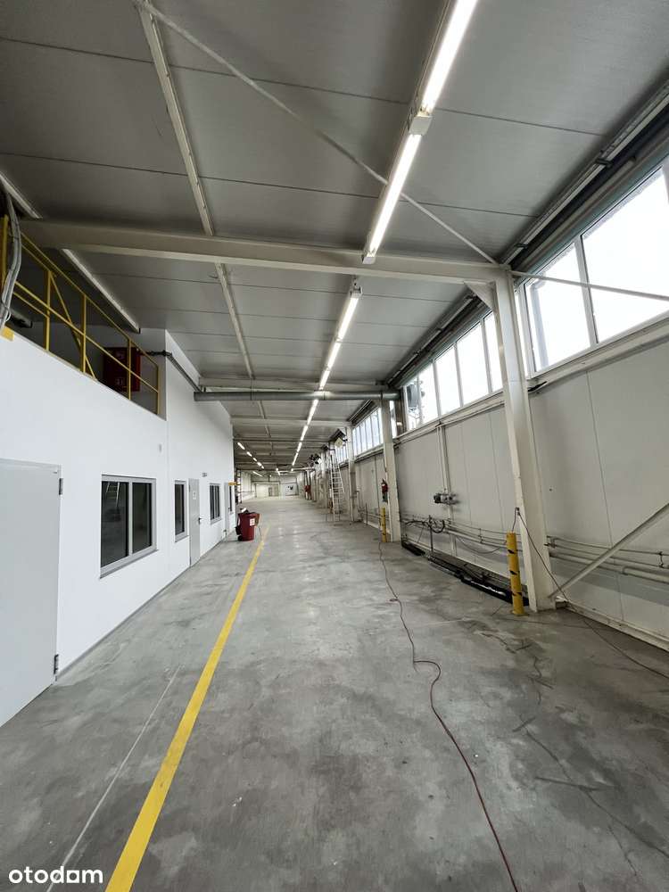 Hala magazynowo-produkcyjna 2600 m2 przy S1 +pow. biurowo-socjalna 740 - Pełny obrazek: 5/9