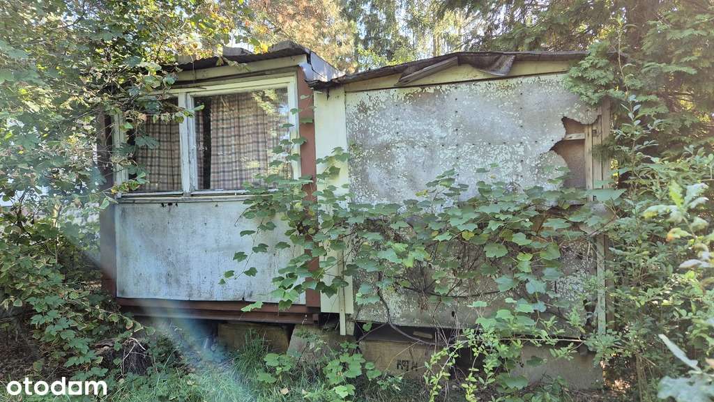 wybuduj domek nad jeziorem Strykowskim - Pełny obrazek: 4/7