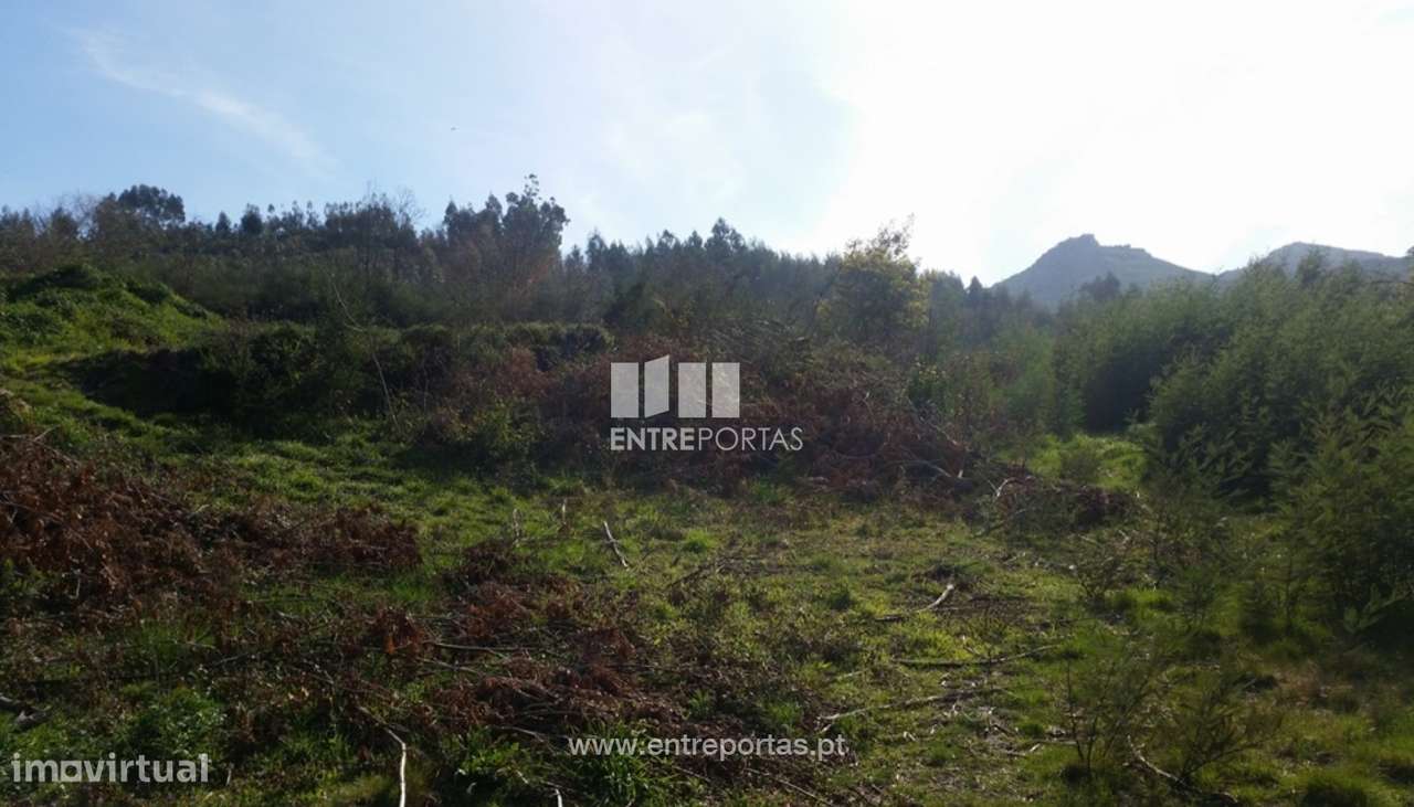 Venda Terreno, Vistas desafogadas, Manhuncelos, Marco de Canaveses - Grande imagem: 3/8