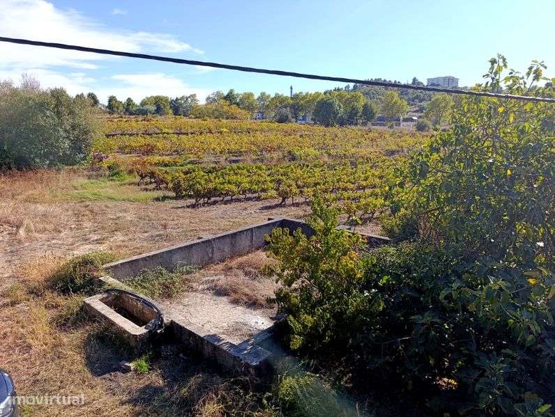 Quinta com Casa e 4 hectares, Belmonte - Grande imagem: 5/12