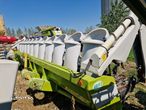 Claas 12R 75 Heder Porumb - 10