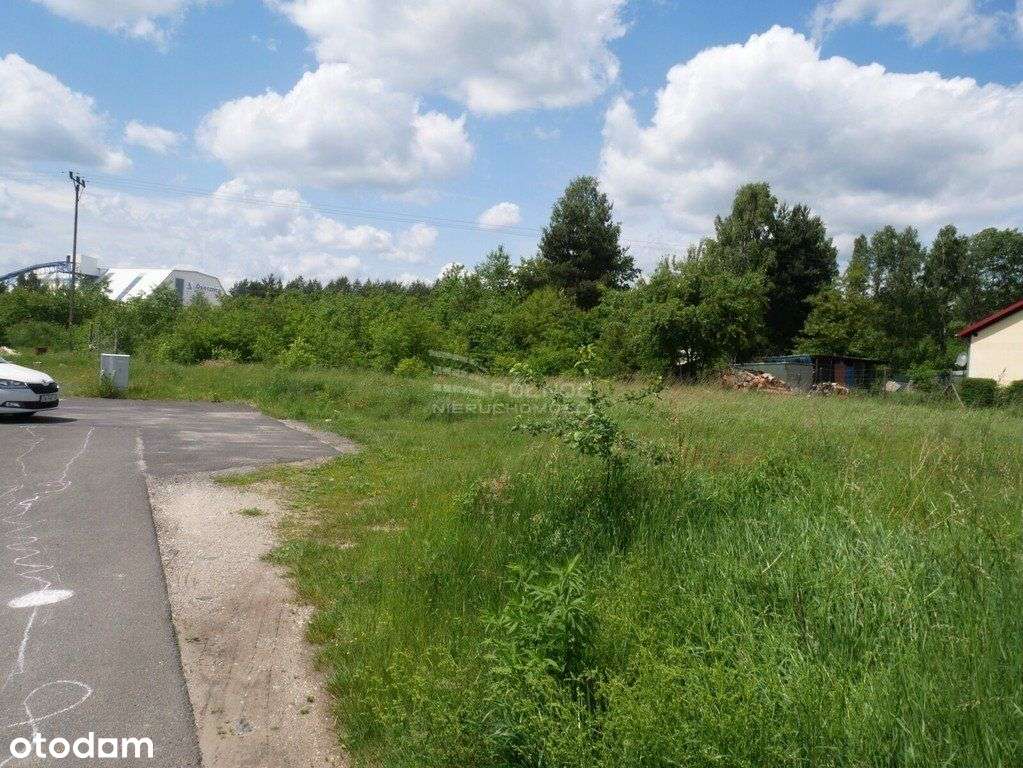 Działka budowlana w Osiecznicy - Pełny obrazek: 5/5