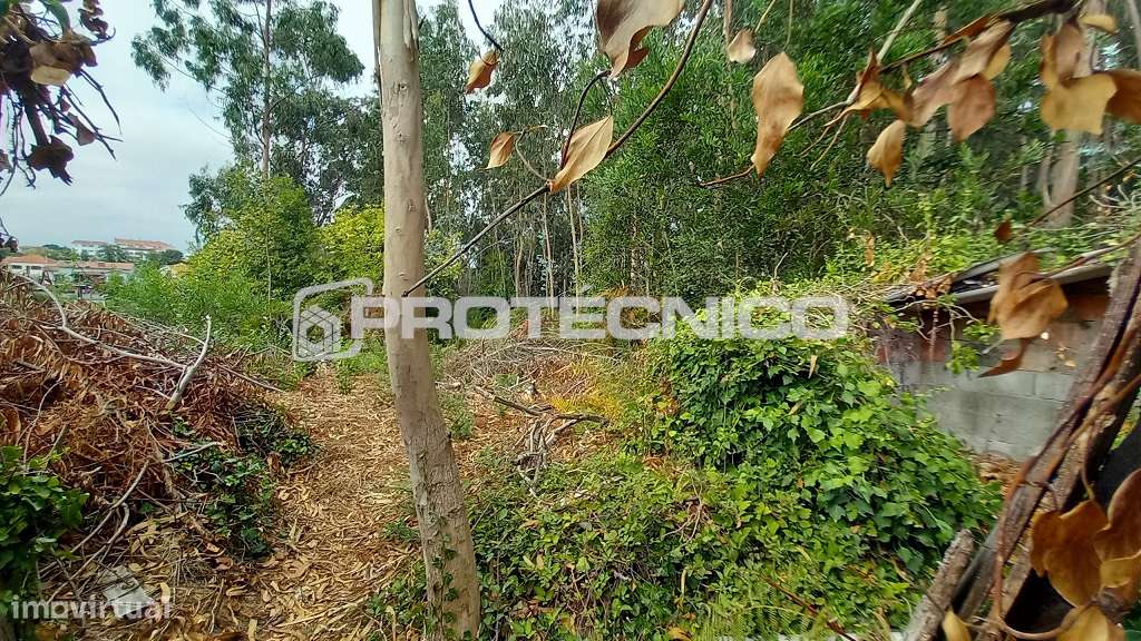 Terreno c/ anexos – São Bernardo - Grande imagem: 3/17