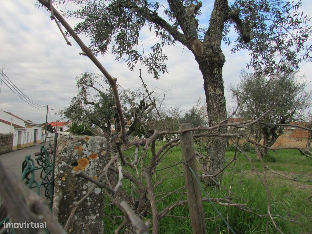 Terreno com 1600m2 com viabilidade de construção - Grande imagem: 4/12
