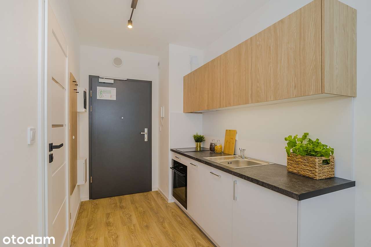 Bez prowizji, od właściciela, pet friendly - Pełny obrazek: 4/6