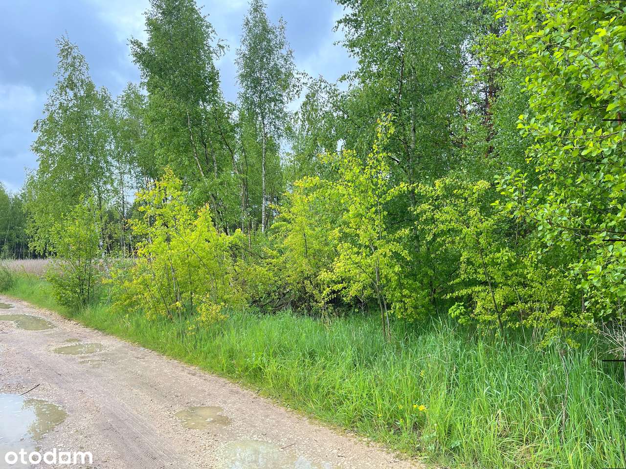 mała działka rekreacyjna przy lesie - Pełny obrazek: 4/7